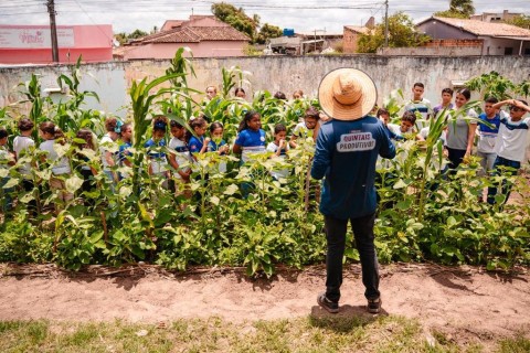 Prefeitura de Lagarto fortalece Programa Horta nas Escolas com atividade prática na Escola Municipal Luíza Pereira